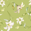 Flowers pastel color seamless pattern isolated on green. White lilies watercolor background. Backdrop with lilium and leaves. Floral design for wedding invitation, christening, Easter card, textile