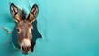 A humorous donkey peers through a ripped hole in a contrast pastel color paper background, Ai Generated
