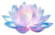 PNG  Lotus flower iridescent petal plant inflorescence
