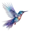 PNG  Flying bird in Watercolor style hummingbird animal white background