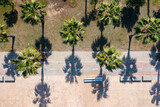 Fototapeta Morze - Aerial view of tropical summer palm trees with shadows along the promenade. Top view of sunny seashore. Abstract minimal nature background. Tropical pattern
