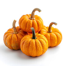 Four Small Pumpkins Stacked On White Background, Winter Squash, Orange Color