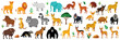 © Pixel Pine - African animals  vector cartoon illustration. Cute lion, zebra, elephant, giraffe, hippo and other wild life clipart for zoo