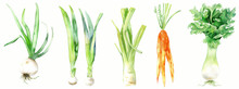 The Watercolor Illustration Presents A Variety Of Vegetables In Vibrant, Lifelike Colors. From Left To Right: A Pair Of Green Leeks With Long, Layered Leaves And White Roots, Next To Slender, Orange 