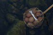 Eggs in a basket soak in the hot springs. At Chae Son National Park Thailand.