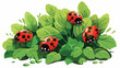 A cluster of bright red ladybugs crawling on a leafy