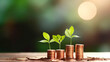 A Plant growing on coins. finance and accounting. stacked coins on the ground and the seedlings are growing on top. Saving money and financial and  a business growth concept