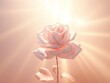 3D rendering of light rose background with spotlight shining down on the center