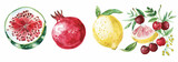Watercolor fruits lined up, showcasing lemon, cherries, pomegranate, and whole pomegranate on white.
