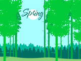 Fototapeta  - Spring forest landscape, green foliage, April, May month