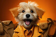 An adorable puppy wearing a stylish modern outfit, playfully rolling on a solid orange background, creating a heartwarming and realistic image.
