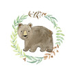 Vector watercolor arrangements with bear. Woodland composition for greeting card and etc.
