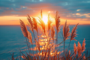 Wall Mural - Sunset over the sea, red grass on the shore, beautiful sky with clouds, nature photography. Created with Ai