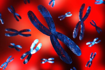 Poster - X chromosome against the background of DNA. Chromosomes and DNA.
3D rendering