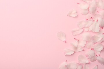 Wall Mural - Beautiful spring blossoms petals on pink background, flat lay. Space for text