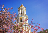 Fototapeta Miasta - Pink sakura blossom in the front of the bell tower of Kyiv Pechersk Lavra