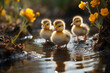 Tiny ducklings waddling through a garden pond, their adorable interactions with nature beautifully documented in HD.