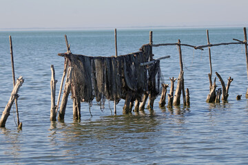 Canvas Print - Filets au séchage