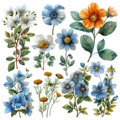 Sticker - Hand painted watercolor illustrations of flowers and plants on a white background. Ideal for invitations and design work.