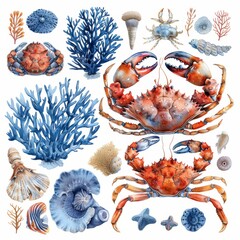 Wall Mural - Detailed watercolor painting of corals, crabs, and animals from the ocean.