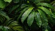 Dew-laden leaves, close-up, low angle, vibrant rainforest, early morning freshness 