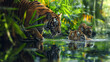 © Irfan - Tiger,Majestic wildlife in their natural habitat, underscored by conservation efforts to preserve biodiversity