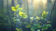 Spring awakening, budding leaves, close-up, low angle, forest rebirth, soft morning light 