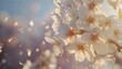Flowering spring, cherry blossoms, close-up, low angle, forest bloom, gentle breeze 