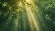 Golden rays piercing green canopy, close-up, low angle, forest cathedral, morning light