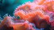 Coral polyps, vibrant close-up, low angle, macro ocean life, soft sunlight filtering 