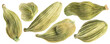 Cardamom isolated on white background. With clipping path.