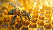 Capture the intricate beauty of an aerial view bee hovering over a vibrant, detailed honeycomb pattern in a digital photorealistic style