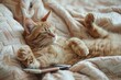 a cat is laying on its back on a bed with a cell phone