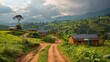 Renewable energy-powered microgrids for rural electrification