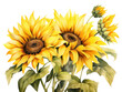 PNG Painting of sunflowers plant inflorescence asterales.