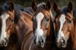 AI generated illustration of horses in a field, standing closely together