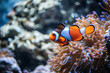 A vibrant underwater scene featuring clownfish swimming among colorful coral and anemones in a lush ocean environment