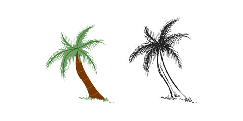 cute hand drawn palm tree. flat and outline black vector illustration isolated on white background. 