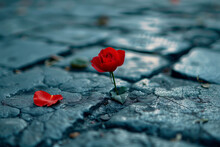 AI Generated Illustration Of A Tiny Red Rose Growing Among A Cobblestone Road