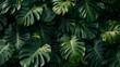 AI generated illustration of lush green plant leaves