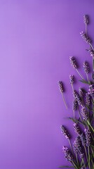 Wall Mural - Lavender background with dark lavender paper on the right side, minimalistic background, copy space concept, top view, flat lay