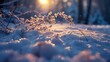 Snow drifts on forest floor, close-up, low angle, tranquil, clear winter night