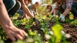 Inspiring photo of a diverse group of people working together in a community garden, cultivating organic produce and composting food waste