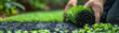 © Atchariya63 - Close view of hands installing synthetic turf, outdoor garden scene, text friendly