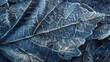 Frost patterns on leaf, abstract close-up, straight-on angle, winter forest, cold dawn light 