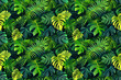 Lush jungle foliage in rich shades of green for a tropical pattern