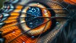 Eyes and Wildlife: A breathtaking macro close-up photo of a butterflys eye