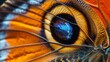 Eyes and Wildlife: A stunning macro close-up photo of a butterflys wing