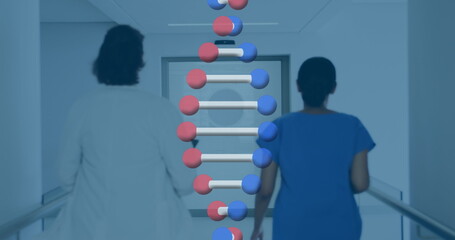 Wall Mural - Image of dna over back view of diverse female doctors running on corridor