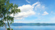 Beautiful summer landscape with birch tree on coast of big lake, clouds blue sky, mountains on horizon. natural background. travel, adventure concept. relax mood. South Ural, lake Turgoyak